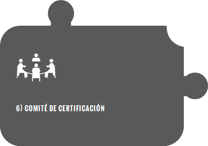 Paso 6